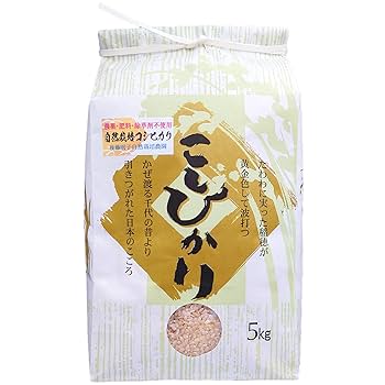 にこちゃん 無農薬コシヒカリ普通精米20kg(5kg×4)令和5年産 にこちゃん様専用 無農薬コシヒカリ普通精米20kg(5kg×4)令和